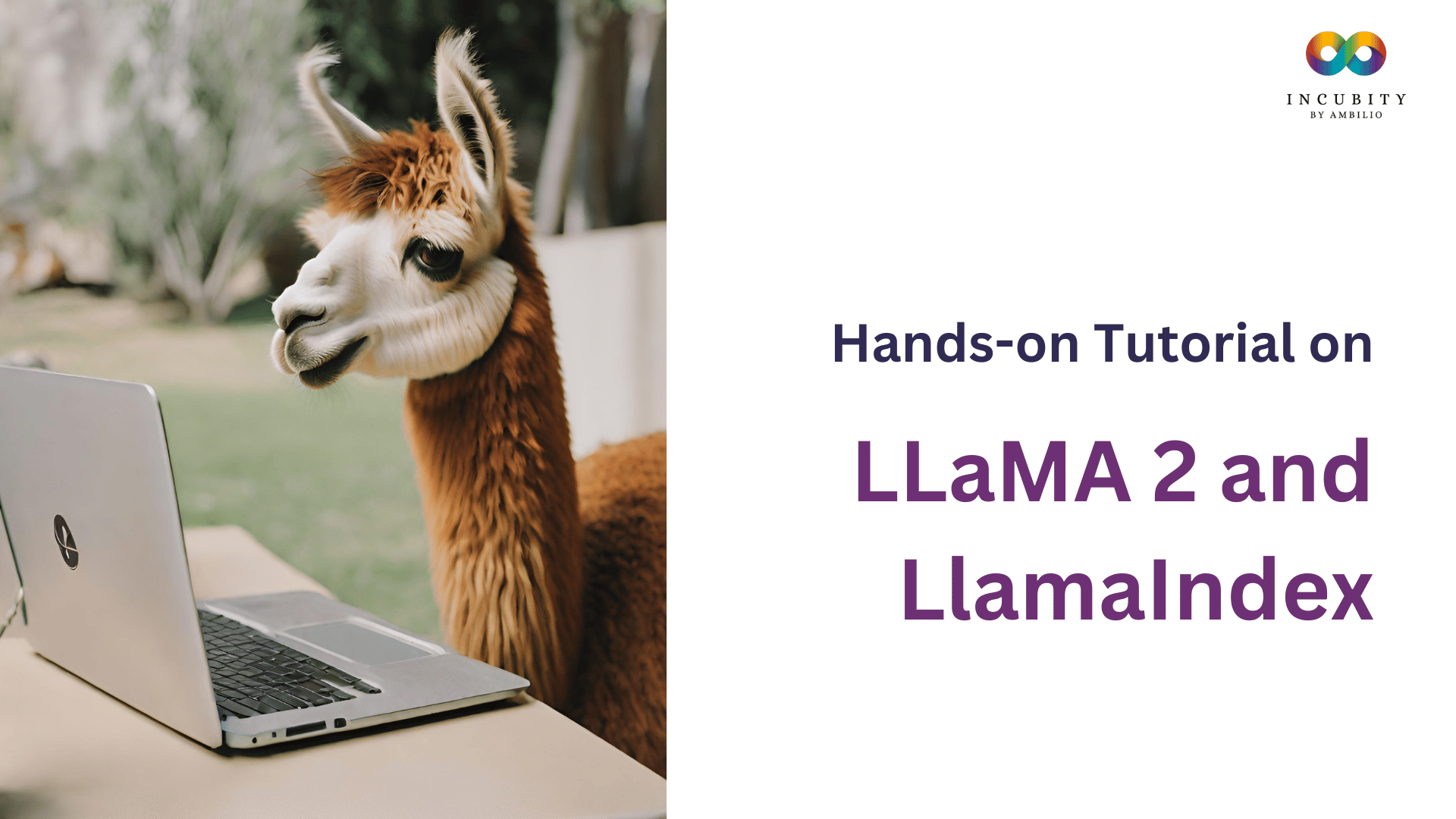 LLaMA 2 and LlamaIndex